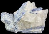 Kyanite Crystals in Quartz - Brazil #44987-1